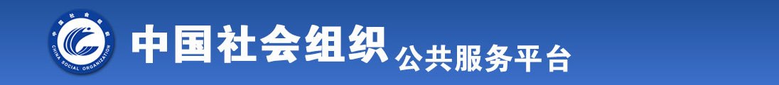 骚逼一线全国社会组织信息查询